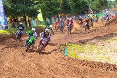 174IMG_9245